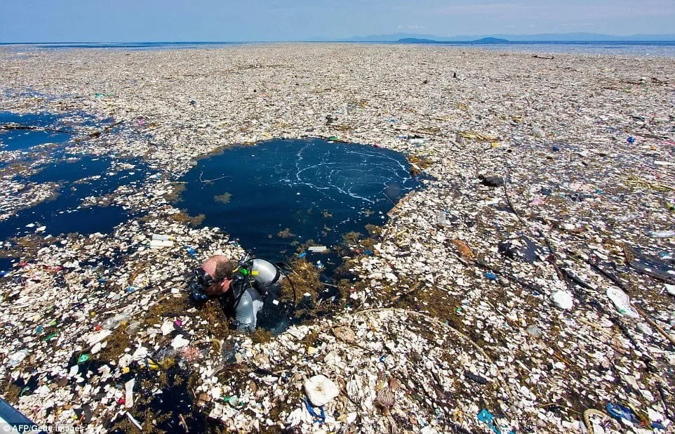 Coleta no mar: como jovem holandês pretende limpar 80% do lixo dos